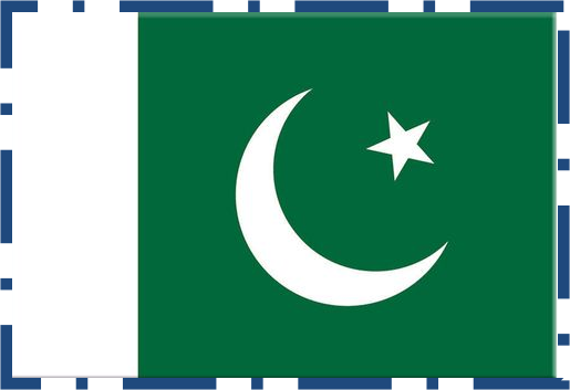 巴基斯坦国旗.png