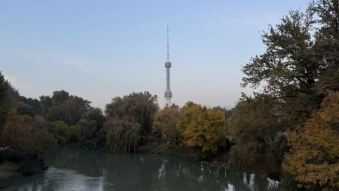 1762571117356501.png image.png