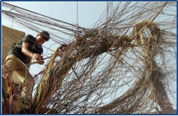 1770272662240233.png image.png