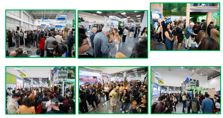 1-260206153452628 (1).png